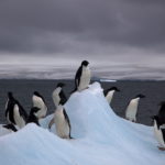 Antarctica’s Larsen Ice Shelf Break-Up Driven by Geological Heat Flow Not Climate Change
