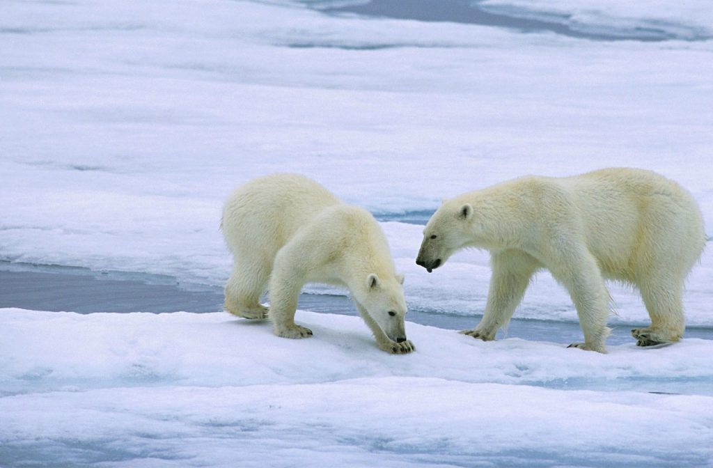 U.S. surface temperatures drop to the lowest in over 30 years during February